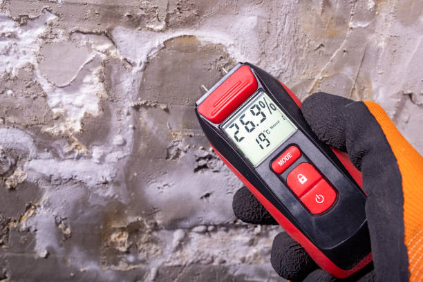 Best Crawl Space Mold Removal  in Fayette, MO