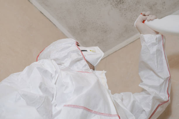 Best Mold Remediation Services  in Fayette, MO