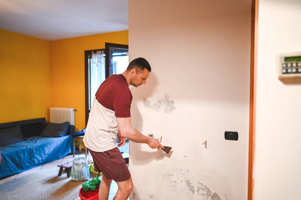 Best Residential Mold Removal  in Fayette, MO