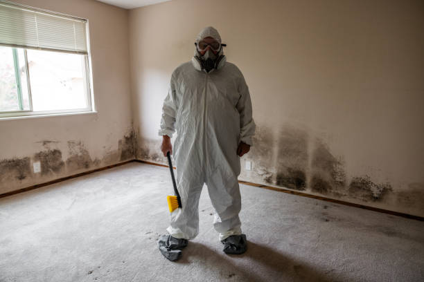 Best Professional Mold Removal  in Fayette, MO